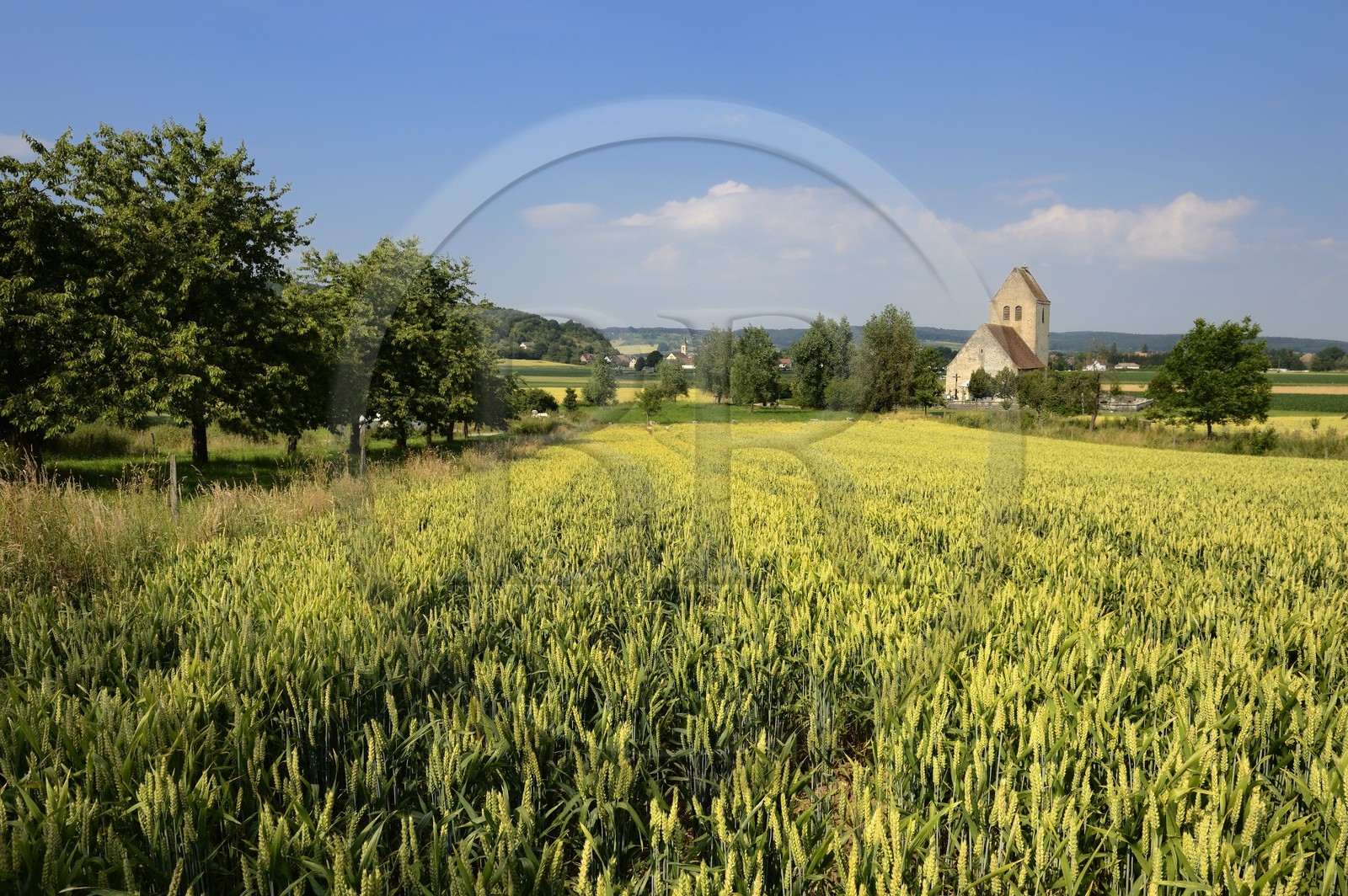France, Haut-Rhin (68), Sundgau, Oltingue, église Saint-Martin-des-Champs