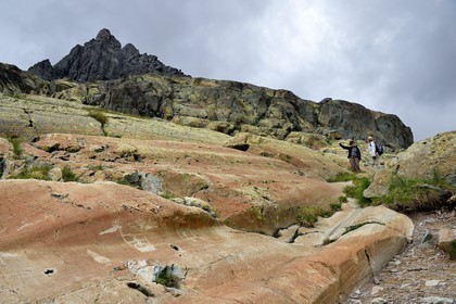 France, Alpes-Maritimes (06), parc national du Mercantour, vallée des Merveilles parsemée de milliers de gravures rupestres de l'Age de bronze, figure anthropomorphe gravée sur la roche dite du Sorcier sur les dalles de schiste jaune des chiappes