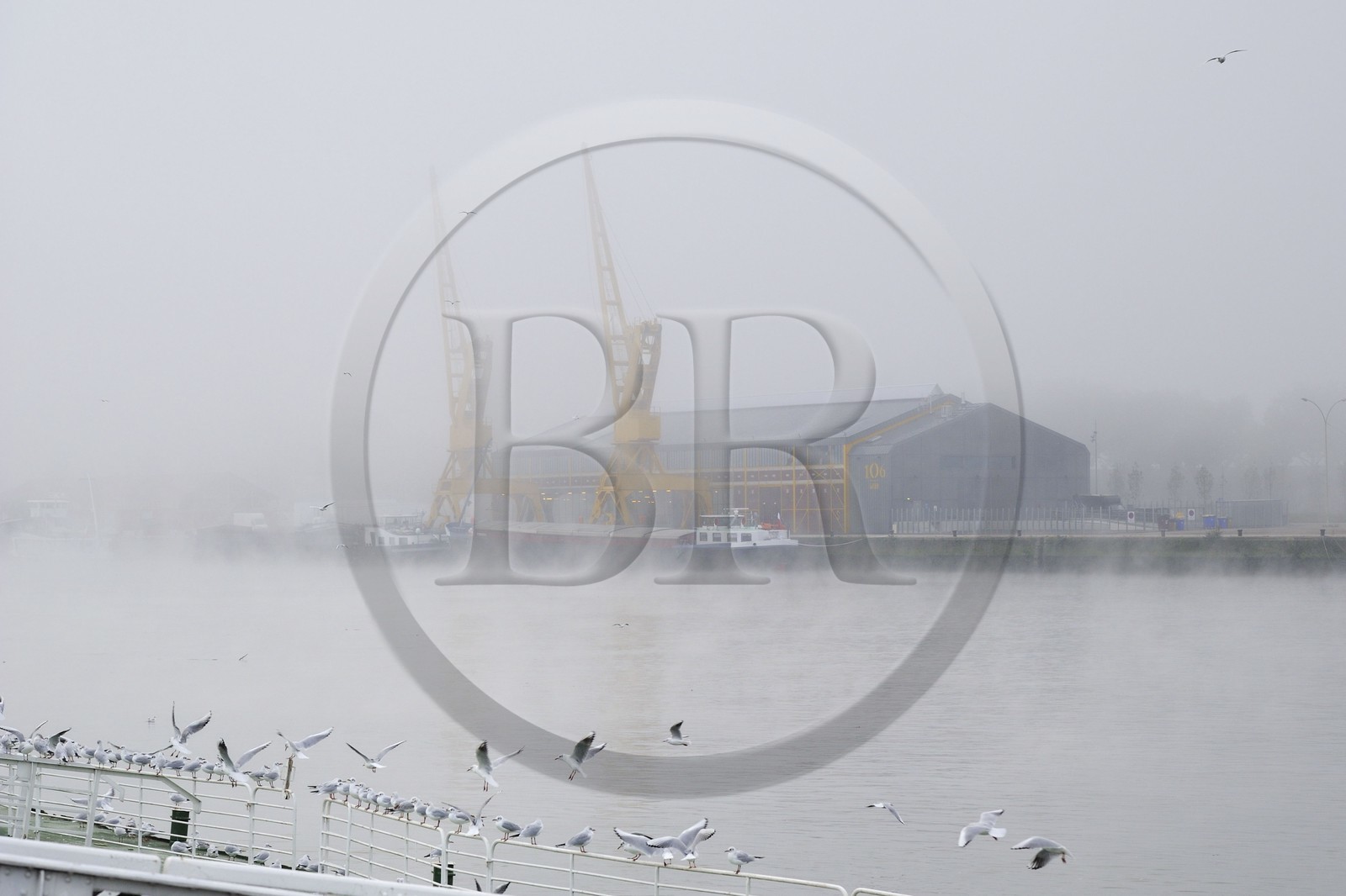 France, Seine Maritime, Rouen, the former docks on the Seine banks, the cranes under mist