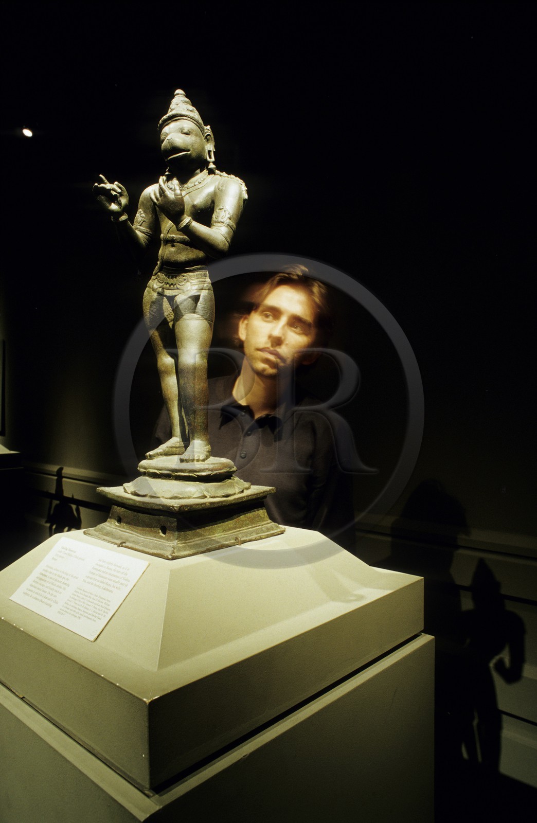 Etats-Unis, New York, Manhattan, le Metropolitan Museum of Art, South Asian art