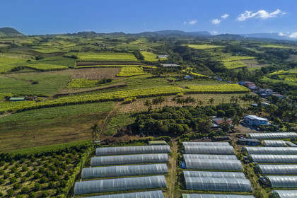 France, Reunion island (French overseas department), Petite-Ile, greenhouses and sugar cane fields on the slopes of the Piton de la Fournaise volcano (aerial view)