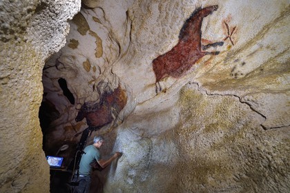 France, Dordogne (24), Montignac, chantier du futur Centre International de l'Art pariétal de Montignac-Lascaux (Lascaux 4), le diverticule axial de la grotte reconstituée par l’Atelier des Fac-Similés du Périgord (AFSP), finitions des peintures murales de la partie inférieure par l'artiste peintre Gilles Lafleur