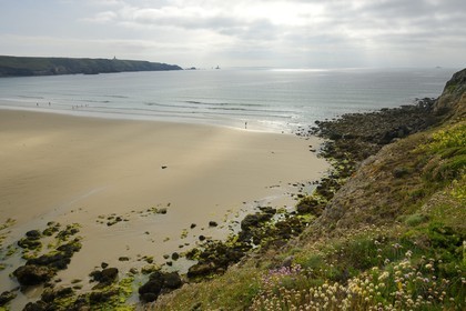 France, Finistère (29),  Mer d'Iroise, Plogoff, plage de la baie des Trépassés et la Pointe du Raz en arrière plan