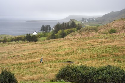 Royaume-Uni, Ecosse, région des Highlands, les Hébrides, Ile de Skye, la cote à Flodigarry