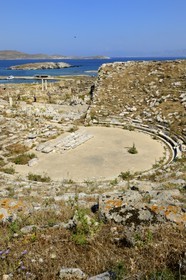 Grèce, île de Delos, classée Patrimoine Mondial de l'UNESCO, site archéologique de Délos, sanctuaire d'Apollon, la plus grande cité antique de la mer Egée, le théatre et le quartier du théatre
