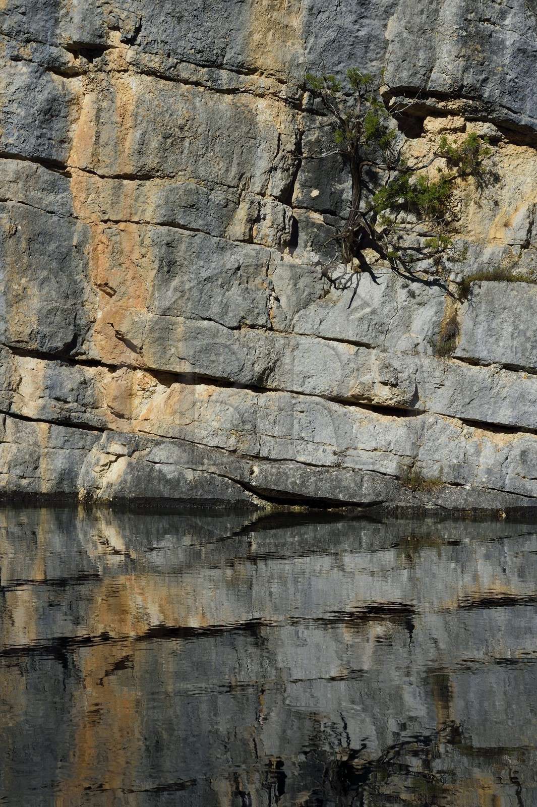 Var (83) rive gauche et Alpes-de-Haute-Provence (04) rive droite, Parc Naturel Régional du Verdon, Basses Gorges du Verdon en aval du lac de Sainte Croix, gorges de Baudinard