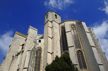 France, Var (83), Provence Verte, Saint-Maximin-la-Sainte-Baume, Basilique Sainte-Marie-Madeleine