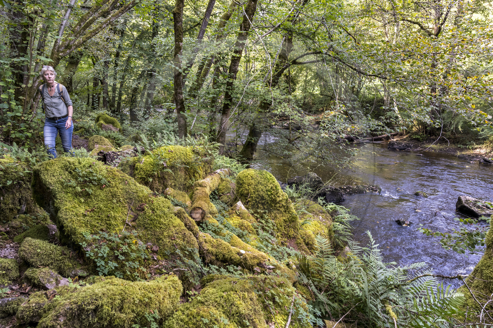 France, Yonne, hiking in the Cousin River Valley towards Pontaubert