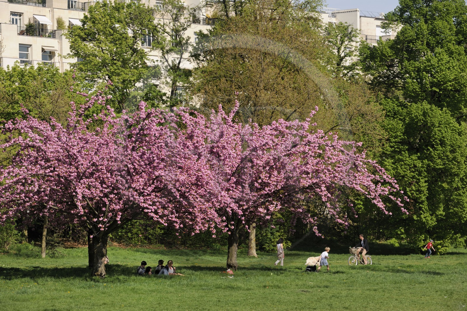 France, Paris (75), le Bois de Boulogne