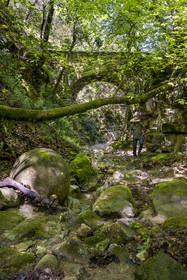 France, Vaucluse (84), Dentelles de Montmirail, Sablet, la rivière le Trignon surplombé par l'ancien pont de l'abbaye en ruine de moniales du VIIe siècle dans le vallon de Prébayon