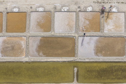 France, Charente Maritime, Port des Barques, Ile Madame, the Ile Madame Aquaculture Farm, Jean Philippe and Gaelle Mineau harvest salt from their saltworks (aerial view)