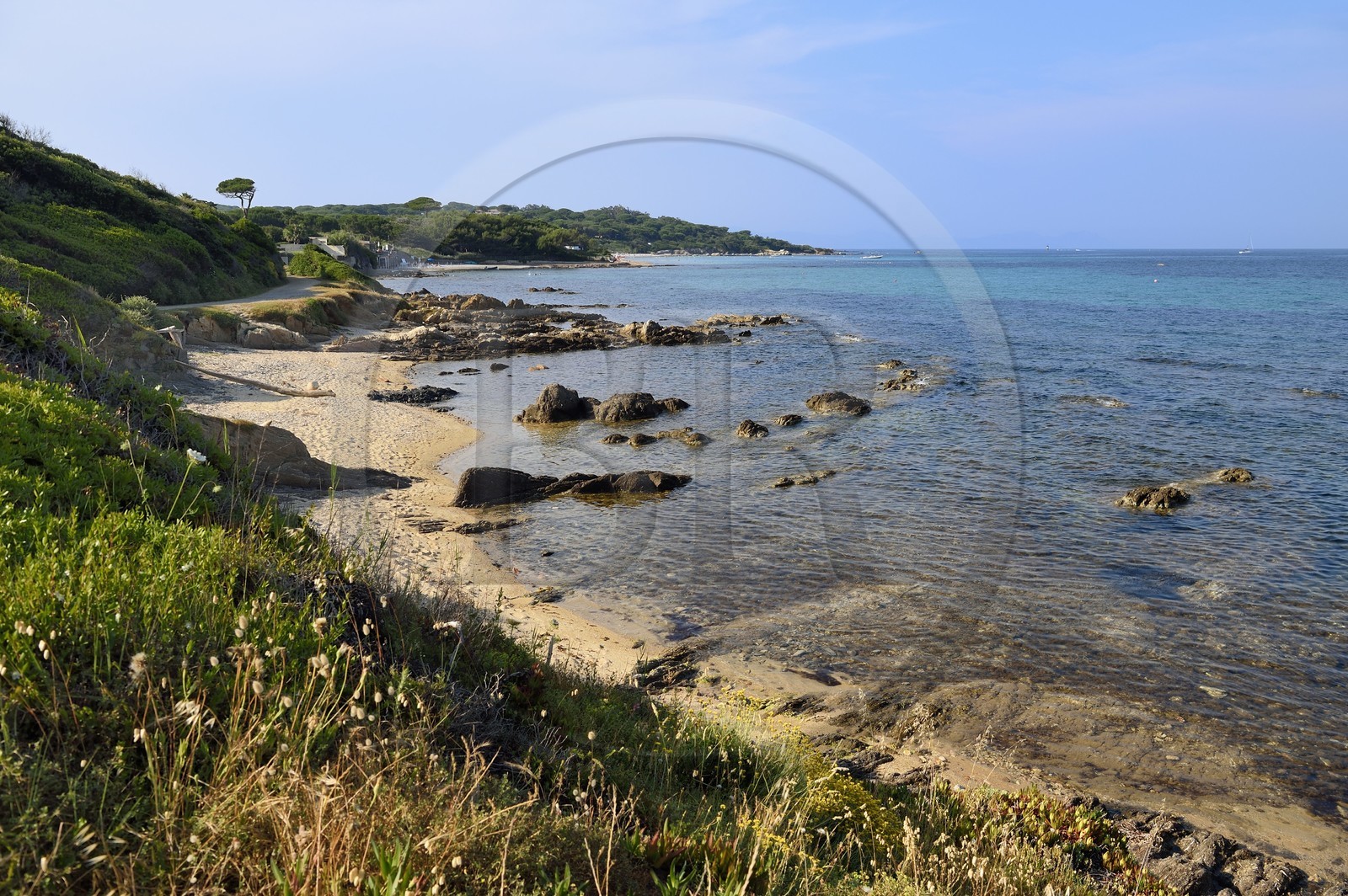 France, Var (83), Saint-Tropez, la côte vers la plage de Capon