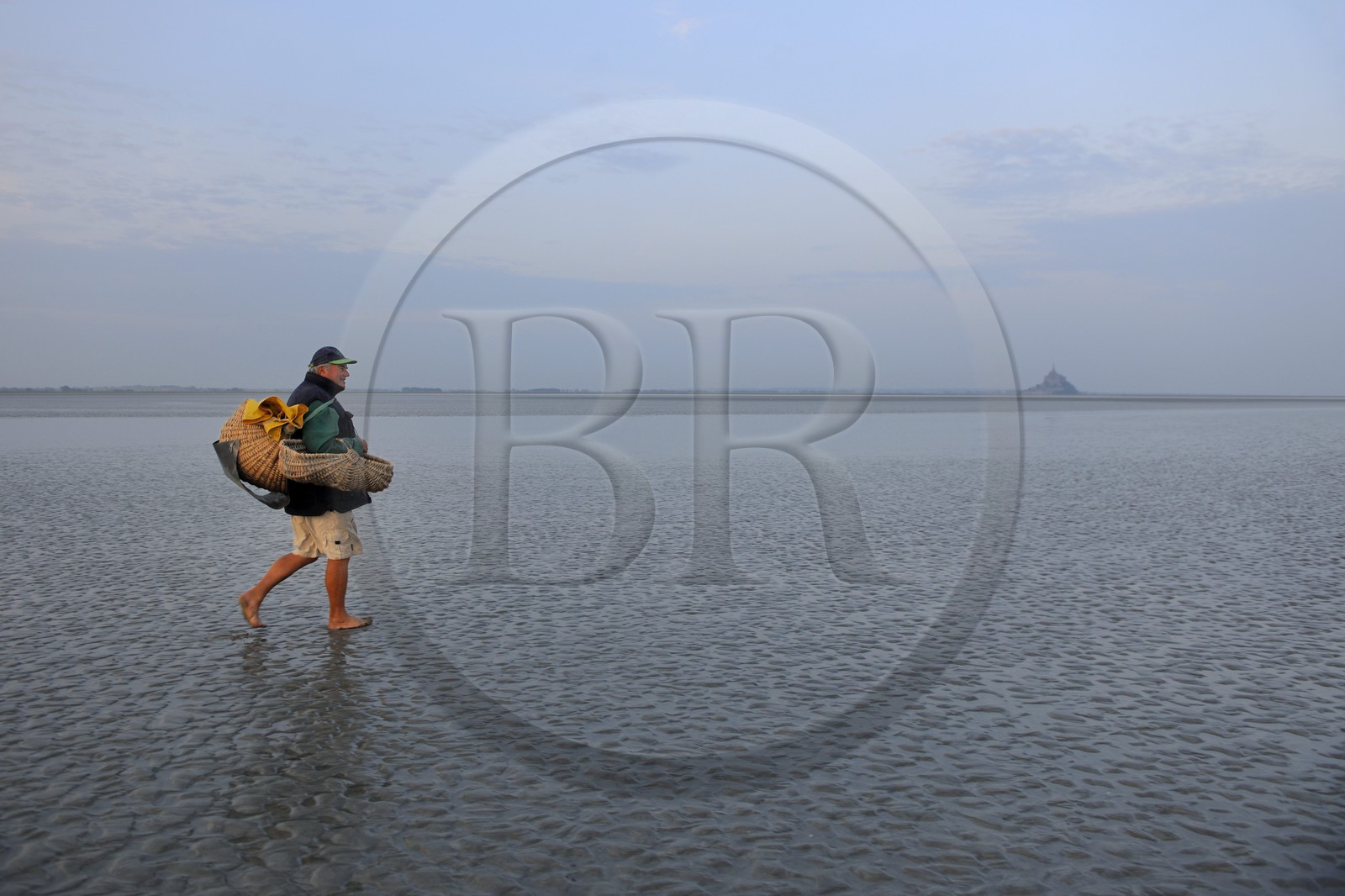 France, Manche (50), Baie du Mont-Saint-Michel, le pêcheur de grêve Guy Jugan allant relever ses filets de crevettes grises