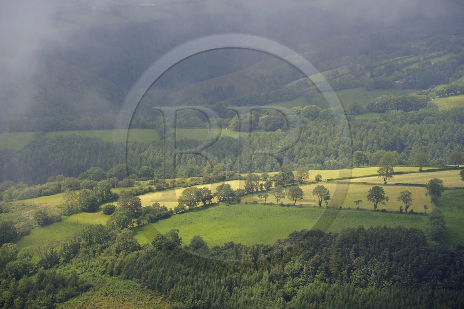 United Kingdom, England, Wales, forest and fields in the Brechfa region in Carmarthenshire (aerial view)