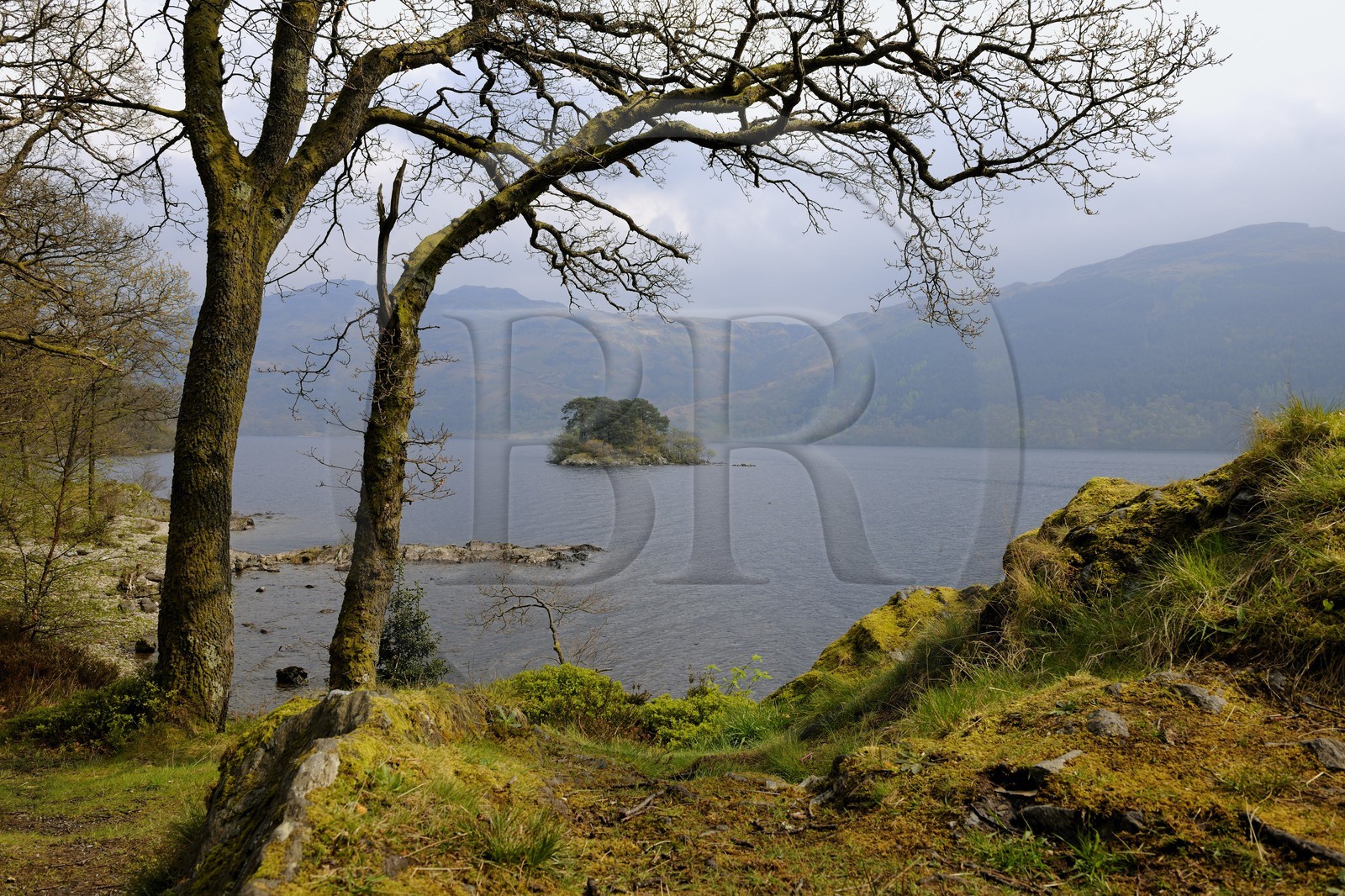 Royaume-Uni, Ecosse, région des Highlands, le Loch Lomond