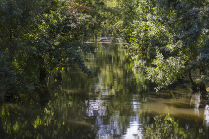 France, Deux-Sèvres (79), le Marais Poitevin, la Venise Verte, Le Vanneau-Irleau, un des innombrables canaux