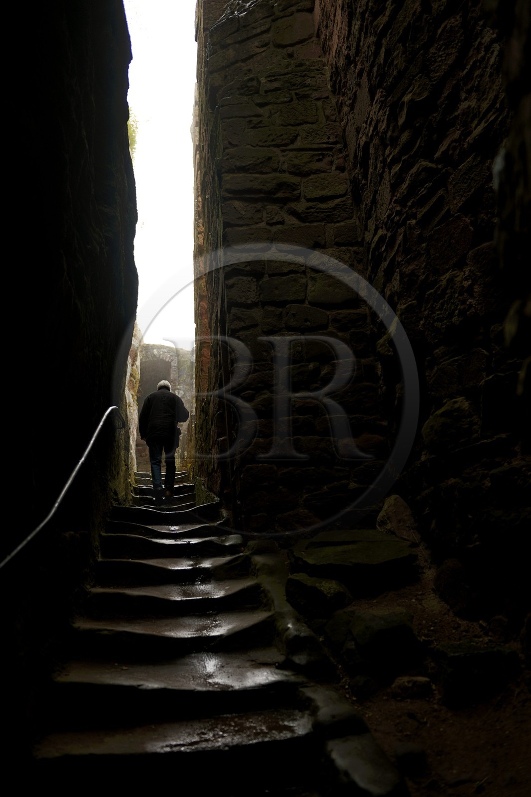 France, Bas-Rhin (67), château de Fleckenstein