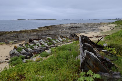 France, Finistère (29), La Foret Fouesnant, archipel des Glénan, Ile Cigogne, épave de bateau echoué