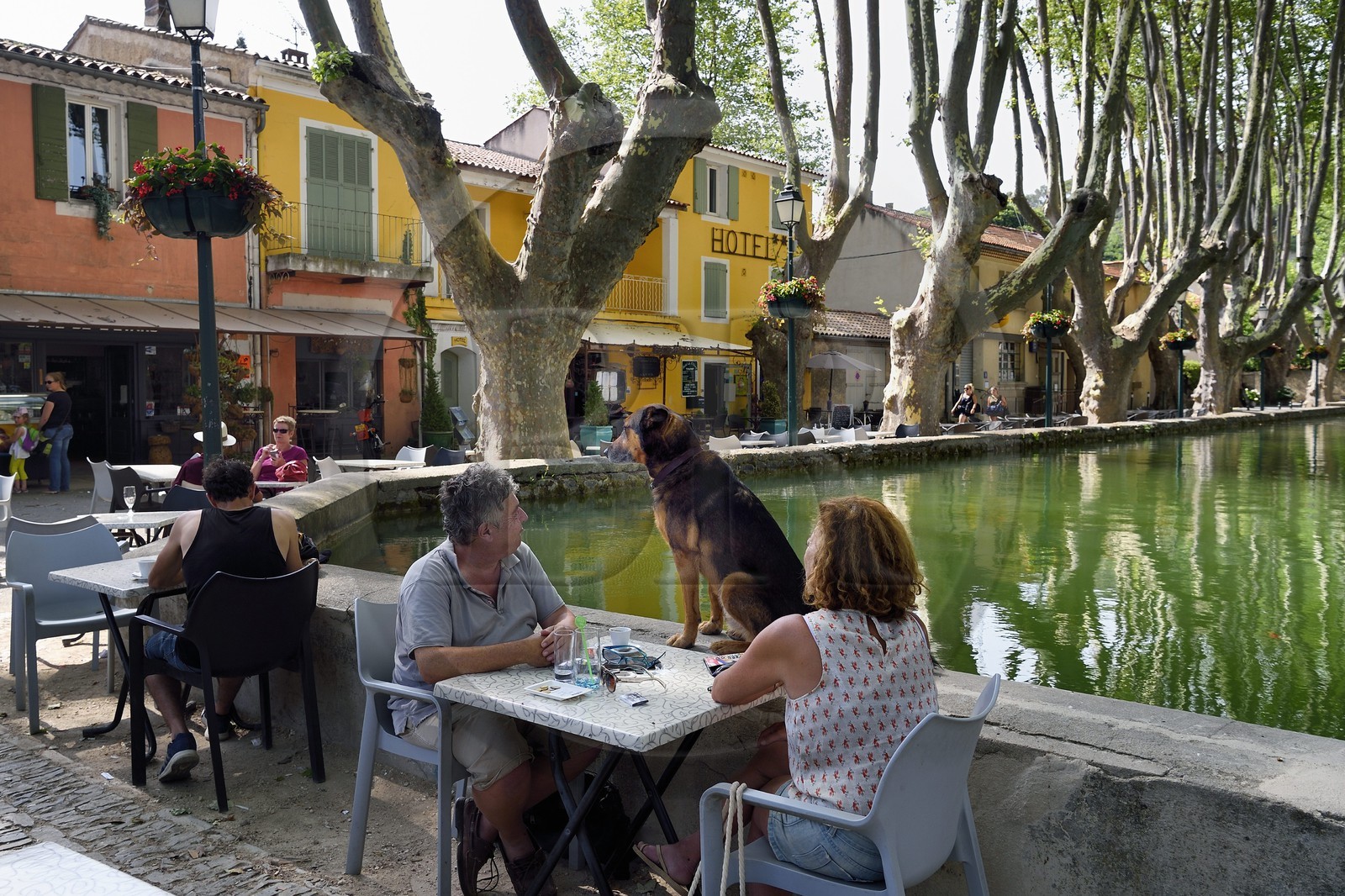 France, Vaucluse (84), Parc Naturel Regional du Luberon, Cucuron, labellisé Les Plus Beaux Villages de France, bassin de l'étang qui alimentait un moulin entouré de platannes centenaires