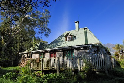 France, île de la Réunion, forêt de Bélouve, gîte de Bélouve