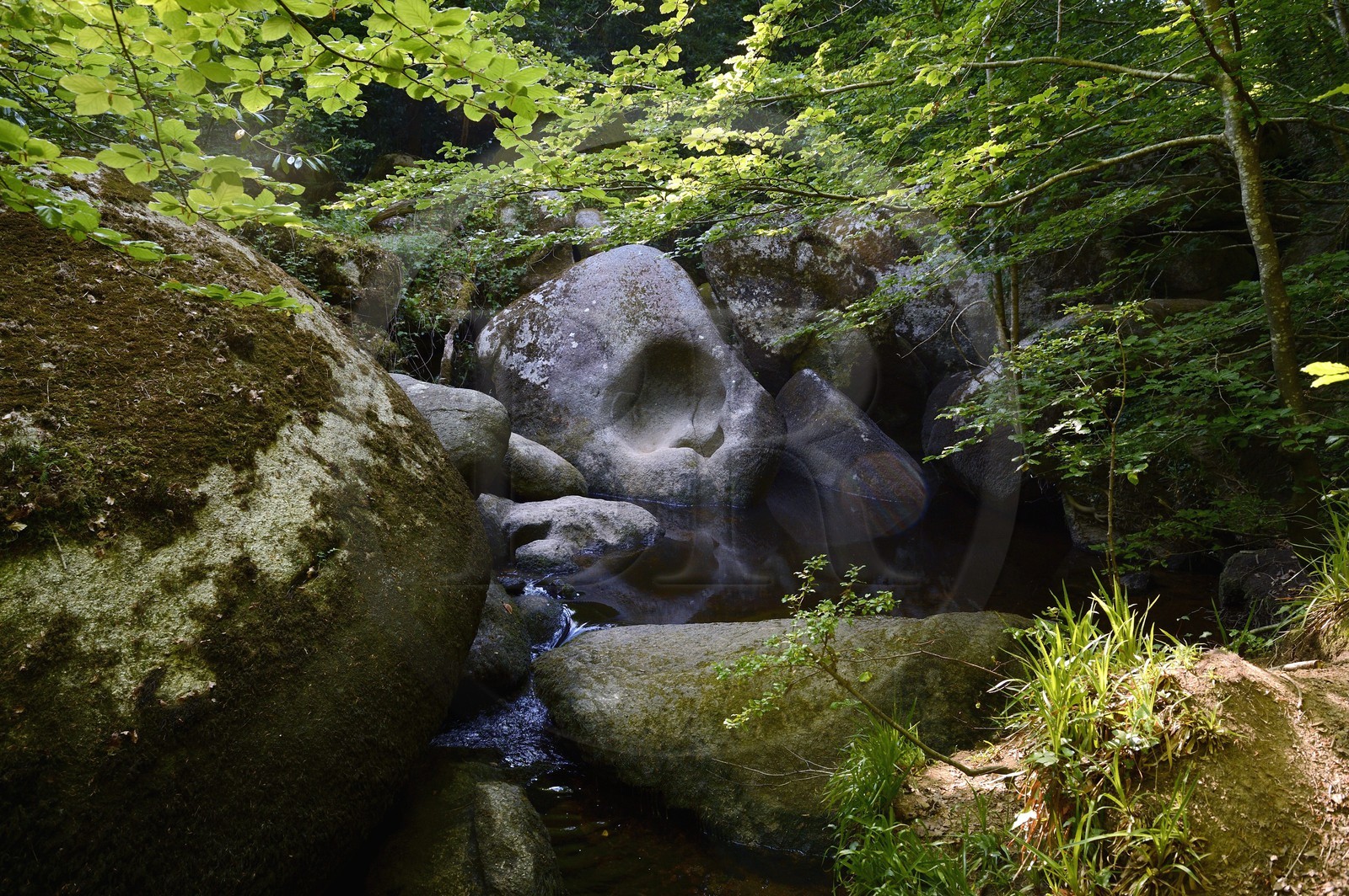 France, Finistère (29), parc naturel régional d'Armorique, Huelgoat, chaos granitique de la forêt du Huelgoat, la rivière d'Argent