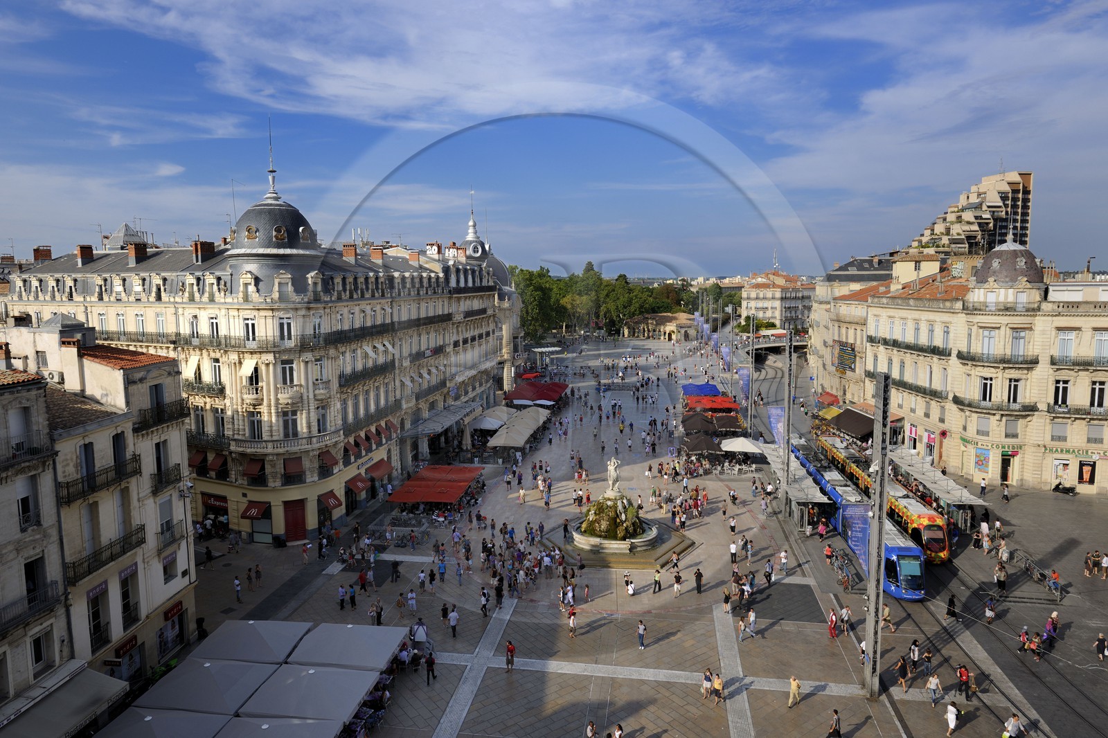 France, Hérault (34), Montpellier, centre historique, l'Ecusson, tramway place de la Comédie