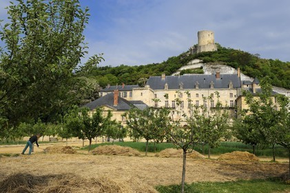 France, Val-d'Oise (95), parc naturel du Vexin français, la Roche-Guyon, labellisé Les Plus Beaux Villages de France, le château