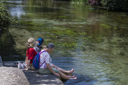 France, Vaucluse (84), L'Isle-sur-la-Sorgue, moment de relaxation sur les berges de la Sorgue aux ondoyant herbiers, poisson sautant dans la rivière