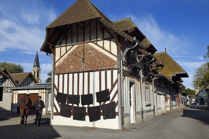 France, Calvados (14), Pays d'Auge, Deauville, Hippodrome de Deauville-La Touques, les écuries