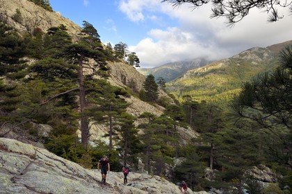 France, Haute-Corse (2B), Vivario, GR 20, étape entre le refuge de l'Onda et Vizzavona, foret de Vizzavona, les cascades des anglais, groupe de cascades dans la vallée de l'Agnone