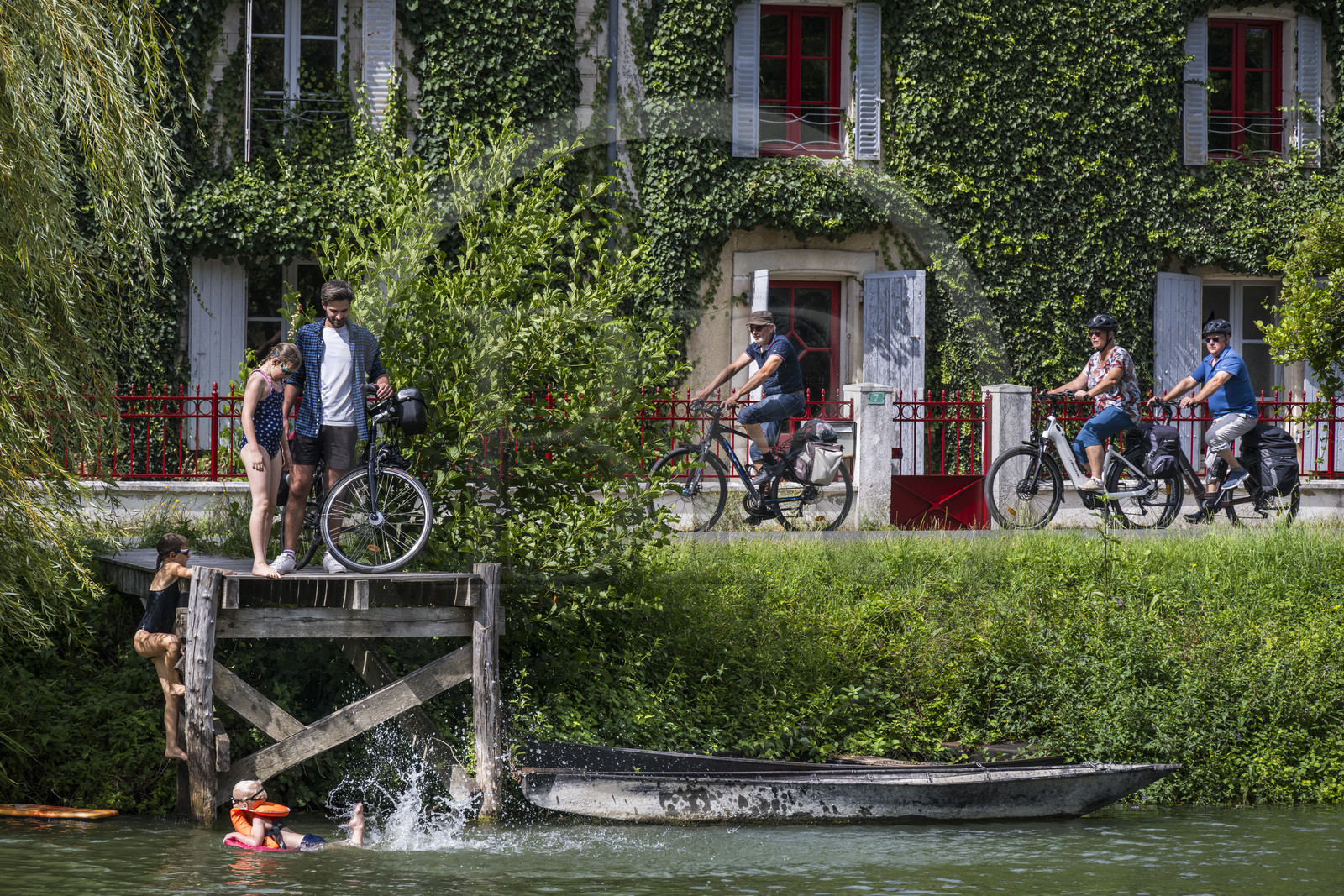 France, Deux-Sèvres (79), le Marais Poitevin, la Venise Verte, Le Mazeau, randonnée à bicyclette le long de la Sèvre Niortaise sur la voie cyclable de la Vélo Francette