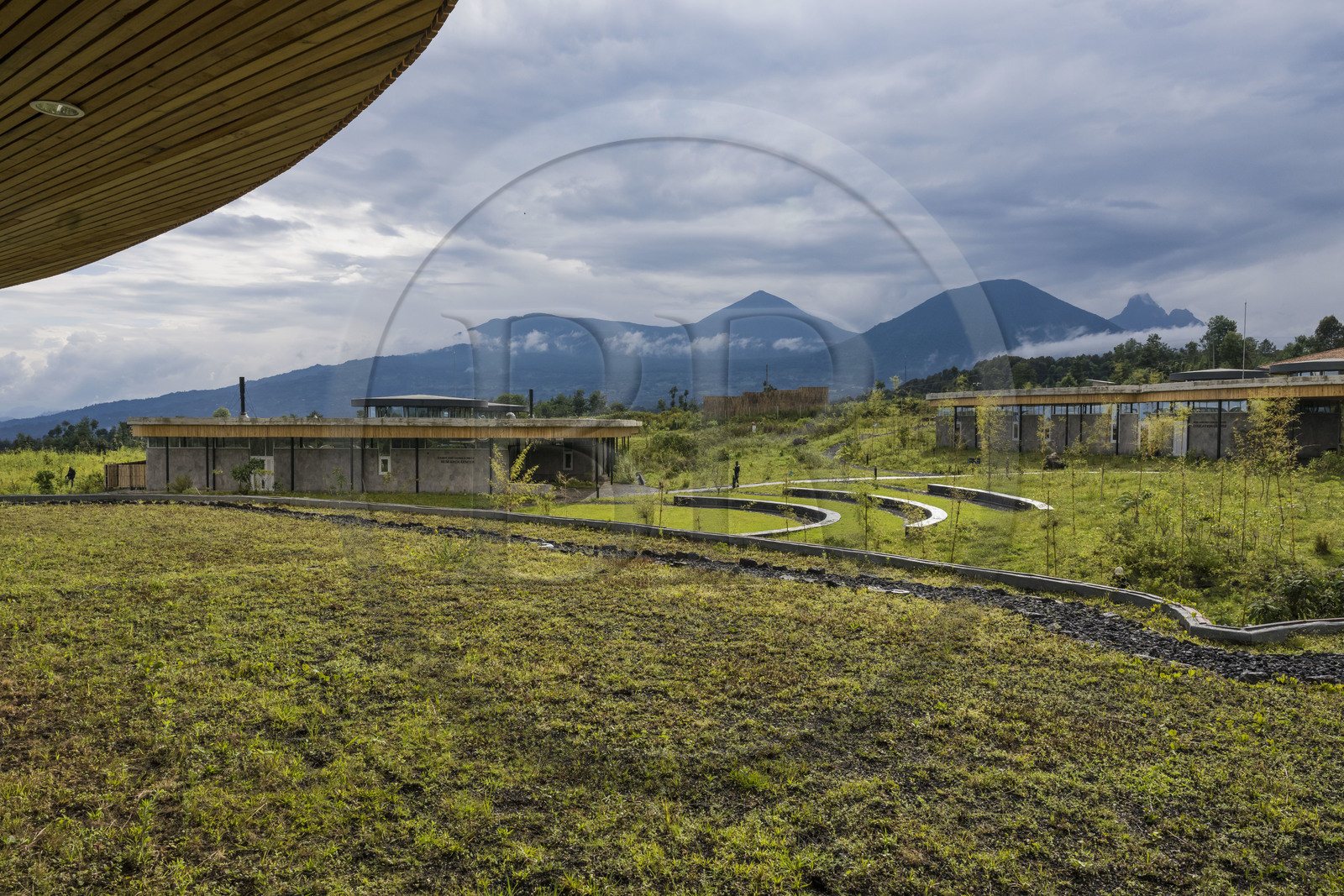 Rwanda, Province du Nord, District de Musanze (Ruhengeri), Kinigi, Campus Ellen DeGeneres du Dian Fossey Gorilla Fund par l'architecte MASS Design Group, Sandy and Harold Price Research Center, le Mont Karisimbi au centre gauche et le Mont Visoke au centre droit puis le Mont Mikeno (situé au Congo) à droite en arrière plan