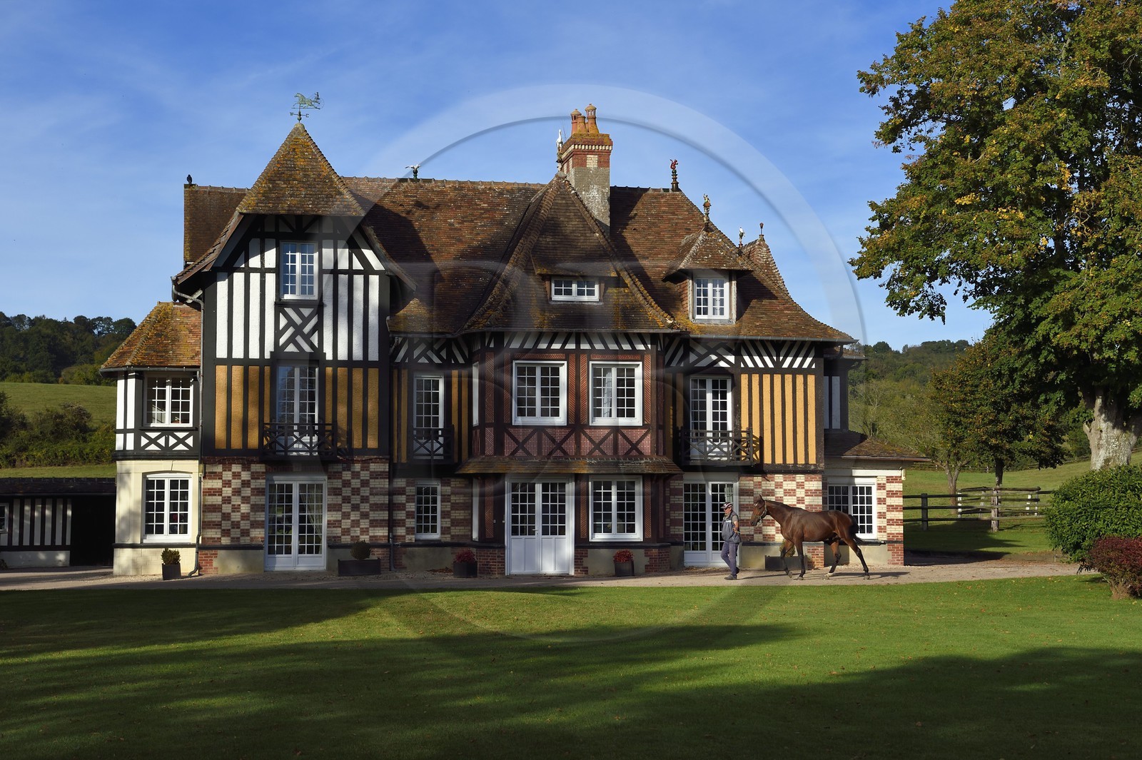 France, Calvados (14), Pays d'Auge, Beuvron-en-Auge, labellisé Les Plus Beaux Villages de France, manoir du Haras de Sens, le cheval Gold de Padd (fils de l'étalon Ready Cash) tenu par le stud groom Dominique Blachet