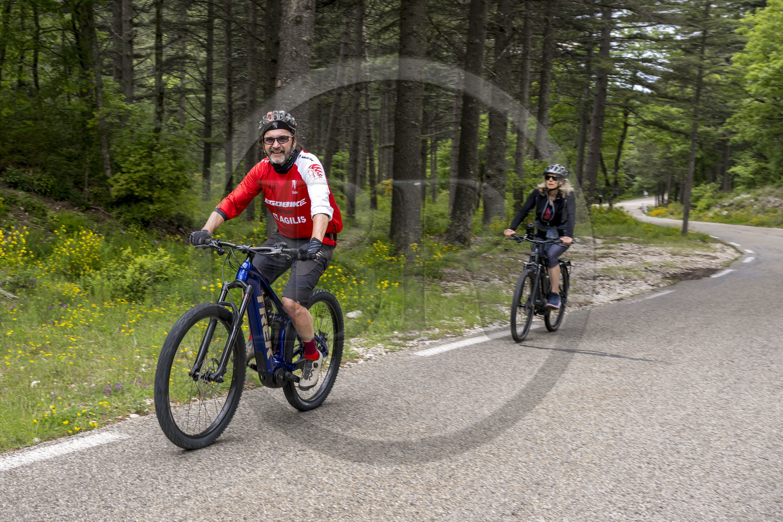 France, Vaucluse (84), Parc Naturel Régional du Mont Ventoux, Bedoin, ascension à vélo du Mont Ventoux par la route D974 sur le versant sud, le guide-accompagnateur Olivier Brunaud (Egobike)
