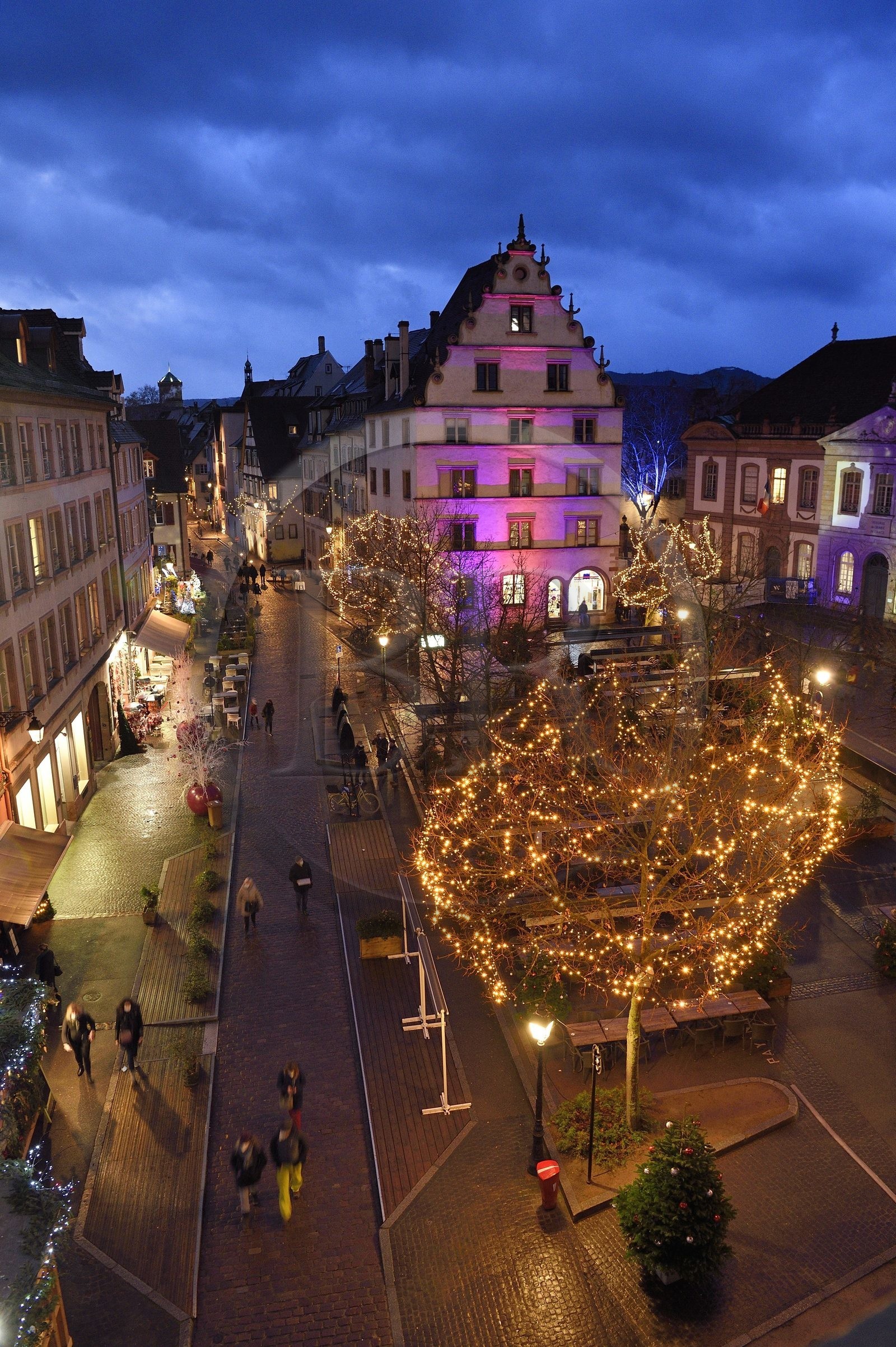 France, Haut-Rhin (68), Colmar, maison à pignons Rue du Conseil Souverain avec des décorations de Noël