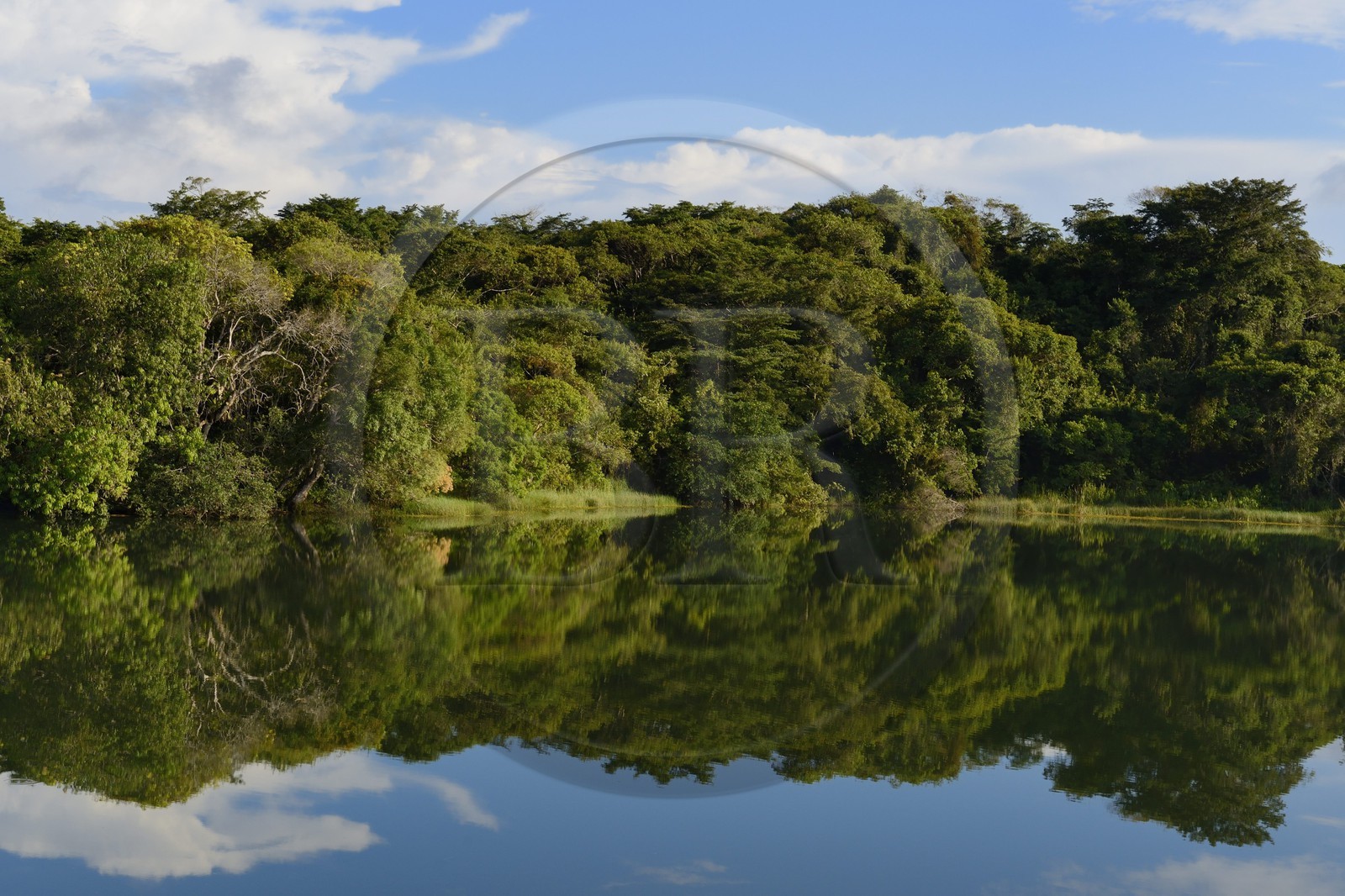 Panama, the Isthmus of Panama between Panama City and Colon along the train line of the Panama Canal Railway