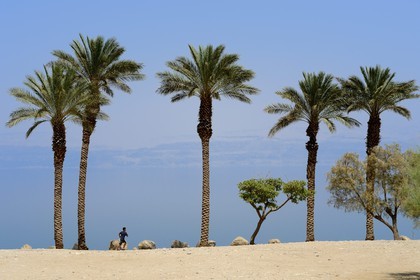Israel, District sud,  plage de Ein Gedi sur la Mer Morte