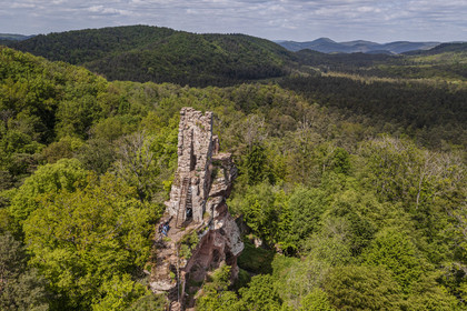 France, Bas Rhin, Northern Vosges Regional Natural Park, Obersteinbach, Steinbach national forest, Lutzelhardt Castle ruins (aerial view)