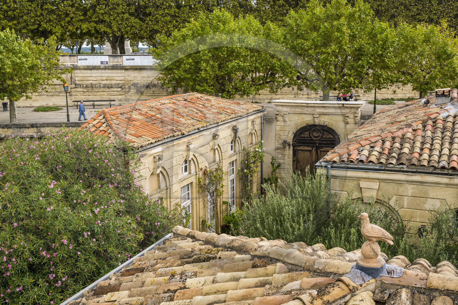 France, Hérault (34), Montpellier, centre historique appelé l’Ecusson, L'Hotel Haguenot, hotel particulier appelée folie montpelliéraine de la deuxième moitié du XVIIIème siècle, l'entrée du coté de la promenade du Peyrou et l'orangerie à gauche