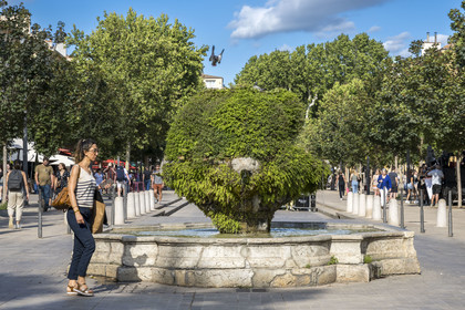 France, Bouches-du-Rhône (13), Aix en Provence, cours Mirabeau, artère principale de la ville, fontaine des 9 canons