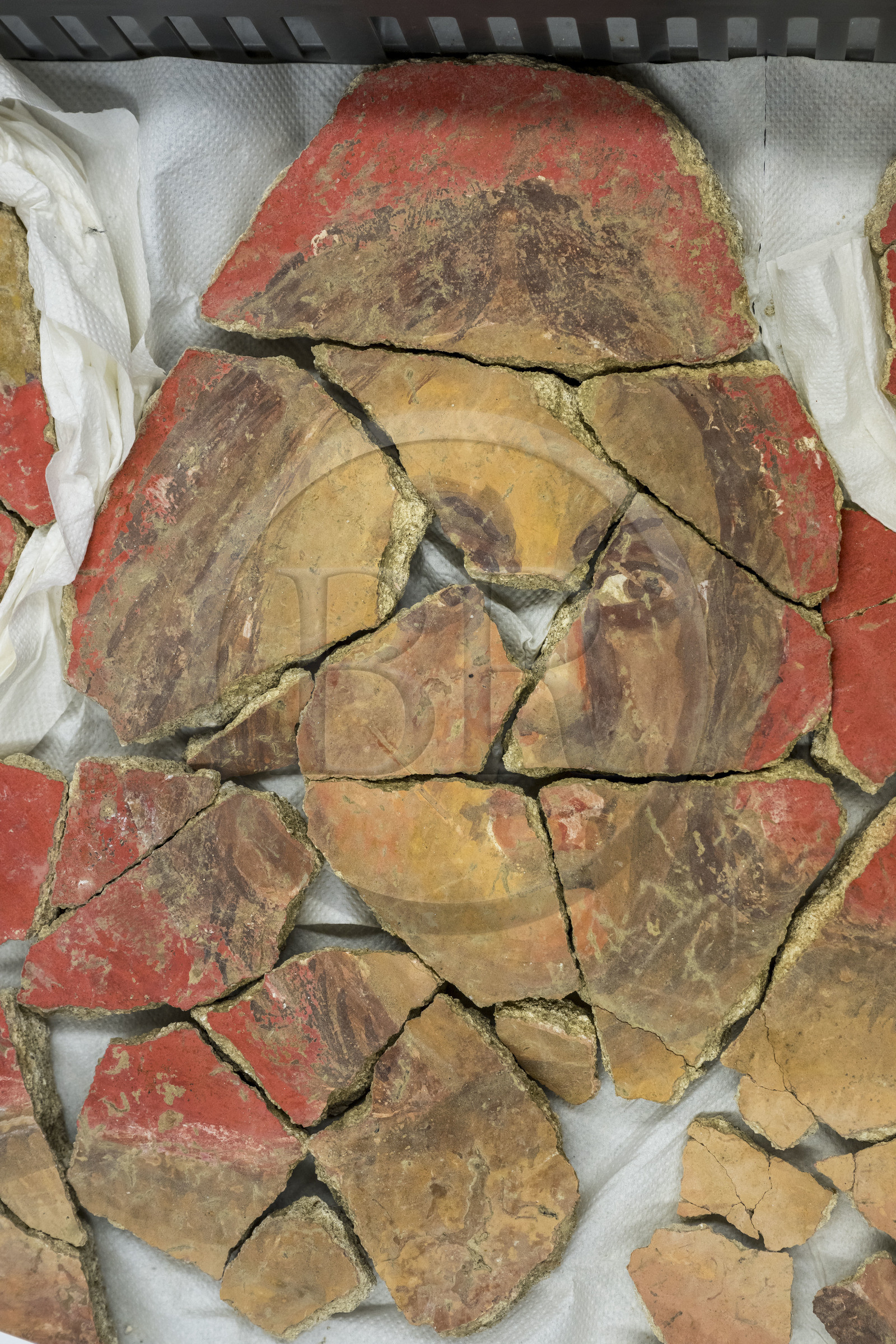 France, Bouches du Rhone, Arles, musée départemental Arles antique, study room of the archaeology department, research from the excavations of the site of the ancient glassworks of Trinquetaille on the right bank of the Rhone, house of the harpist (between 70 and 50 BC), fresco wall painting fragments of a male character from the decoration of the reception room adopting vermilion red with the pigment Cinnabar, the most expensive in the Roman world