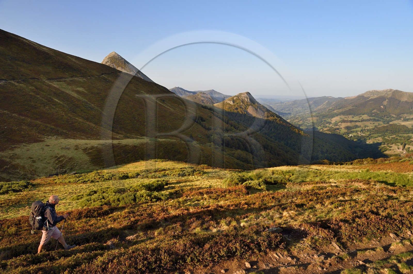 France, Cantal, Parc Naturel Régional des Volcans d'Auvergne (regional nature park of Auvergne volcanoes), Le Lioran, col de Rombiere (mountain pass) overlooking the Jordanne valley, hikers on the Way of St. James to Santiago de Compostela by Via Arverna, in the background the Puy Griou emerging on the left and the Griounou on its right