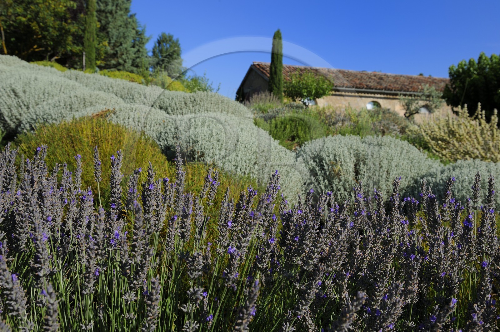 France, Var (83), Provence Verte, Bras, vers Saint-Maximin-la-Sainte-Baume, la maison d'hôtes Le Peyrourier, une campagne en Provence