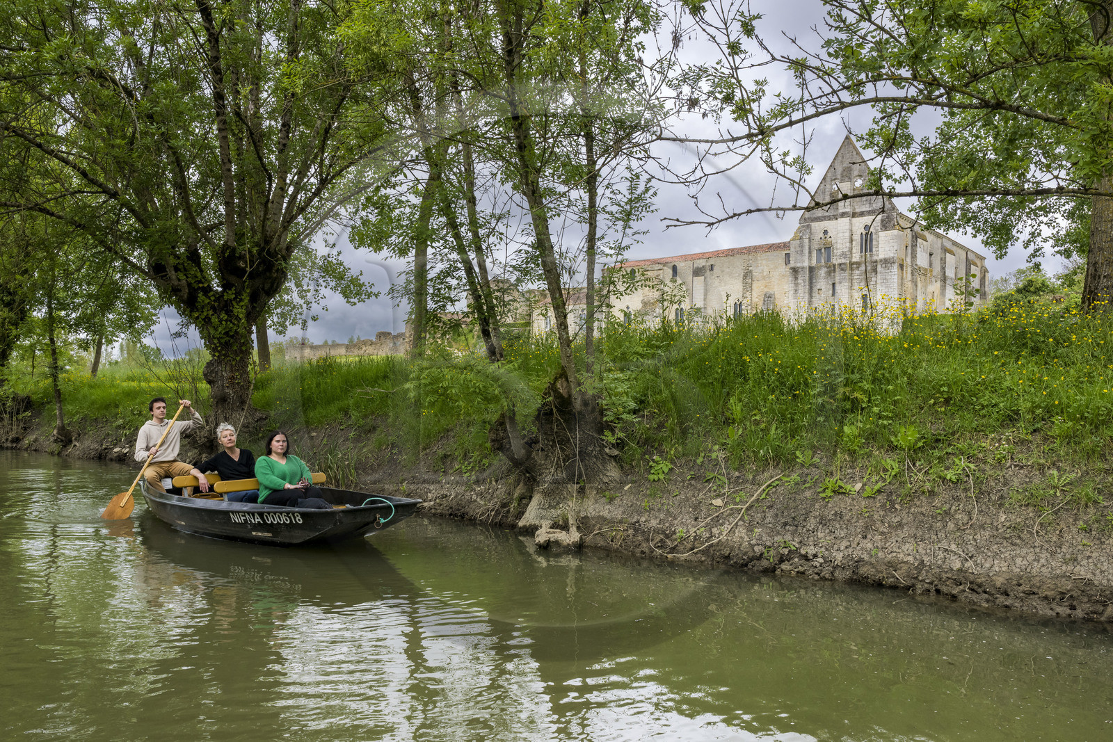 France, Vendee, Parc Interregional du Marais Poitevin labellised Grand Site de France (Interregional Park of the Marais Poitevin labelled Great Site of France), Maillezais, boat trip with a boatman on the tributaries of the Autise river, the remains of the Saint-Pierre de Maillezais abbey in the background