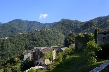 France, Haute Corse, Castagniccia, the village of Rapaggio