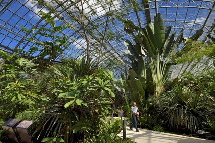 France, Paris (75), Le Parc zoologique de Paris (Zoo de Vincennes), restitution de la végétation tropicale dans la Grande Serre dans dans la biozone Guyane