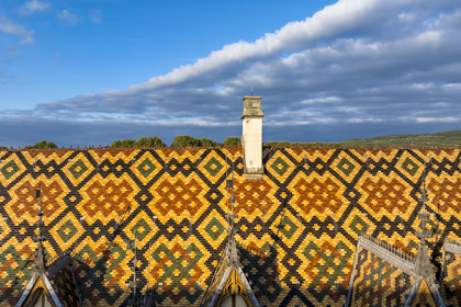 France, Cote d'Or, Beaune, area listed as World Heritage by UNESCO, Hospices de Beaune, Hotel Dieu, the roofs covered with glazed and colored tiles (aerial view)