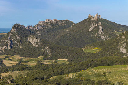 France, Vaucluse (84), Dentelles de Montmirail, le vignoble autour du village de Suzette, le Clapis prolongé par le Grand Montmirail à gauche et les Dentelles Sarrasines à droite (vue aérienne)