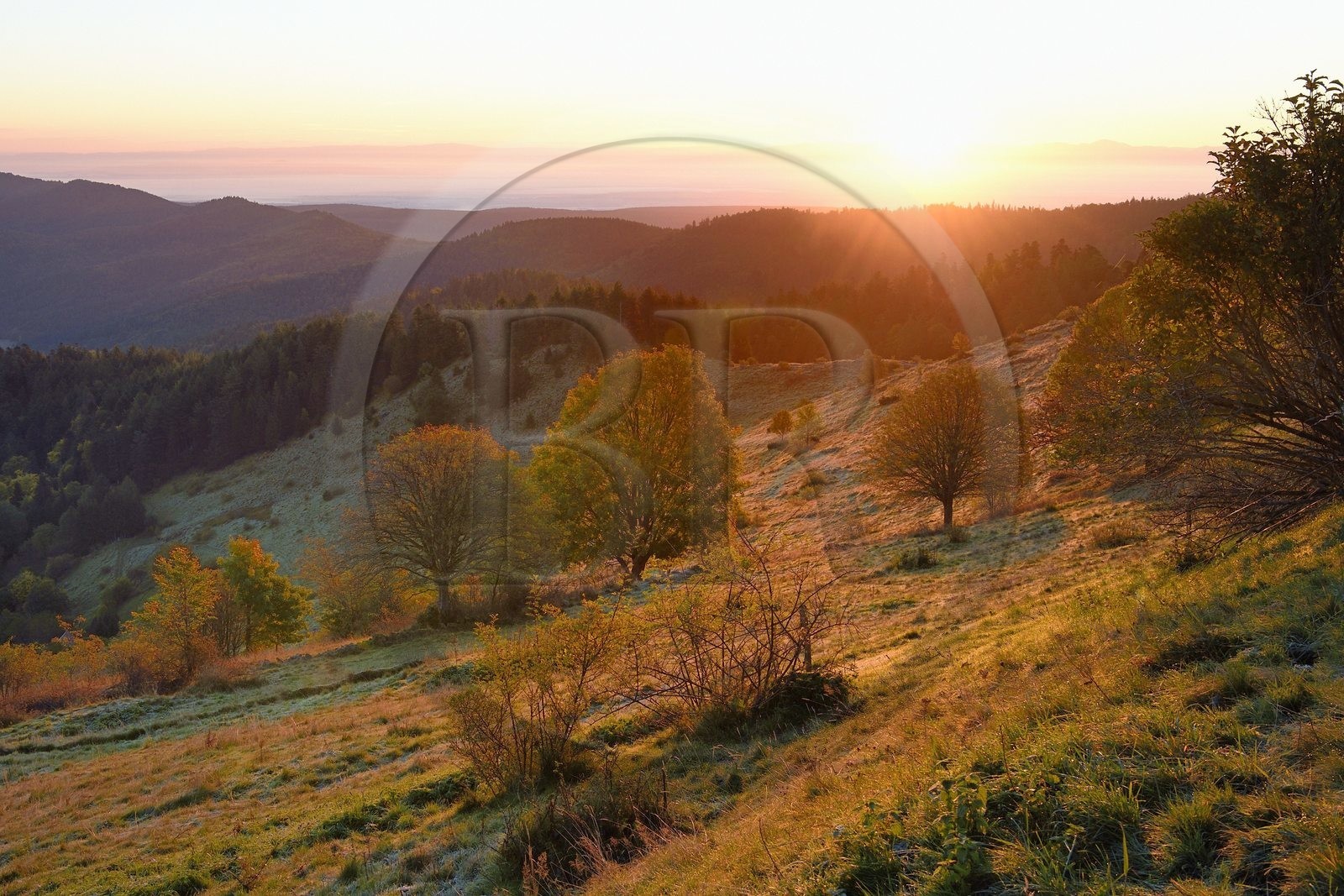 France, Haut Rhin, Wasserbourg, massif of the Vosges bordering the plain of Alsace at the Ferme-auberge (farm-inn) Buchwald on the Petit Ballon mountain
