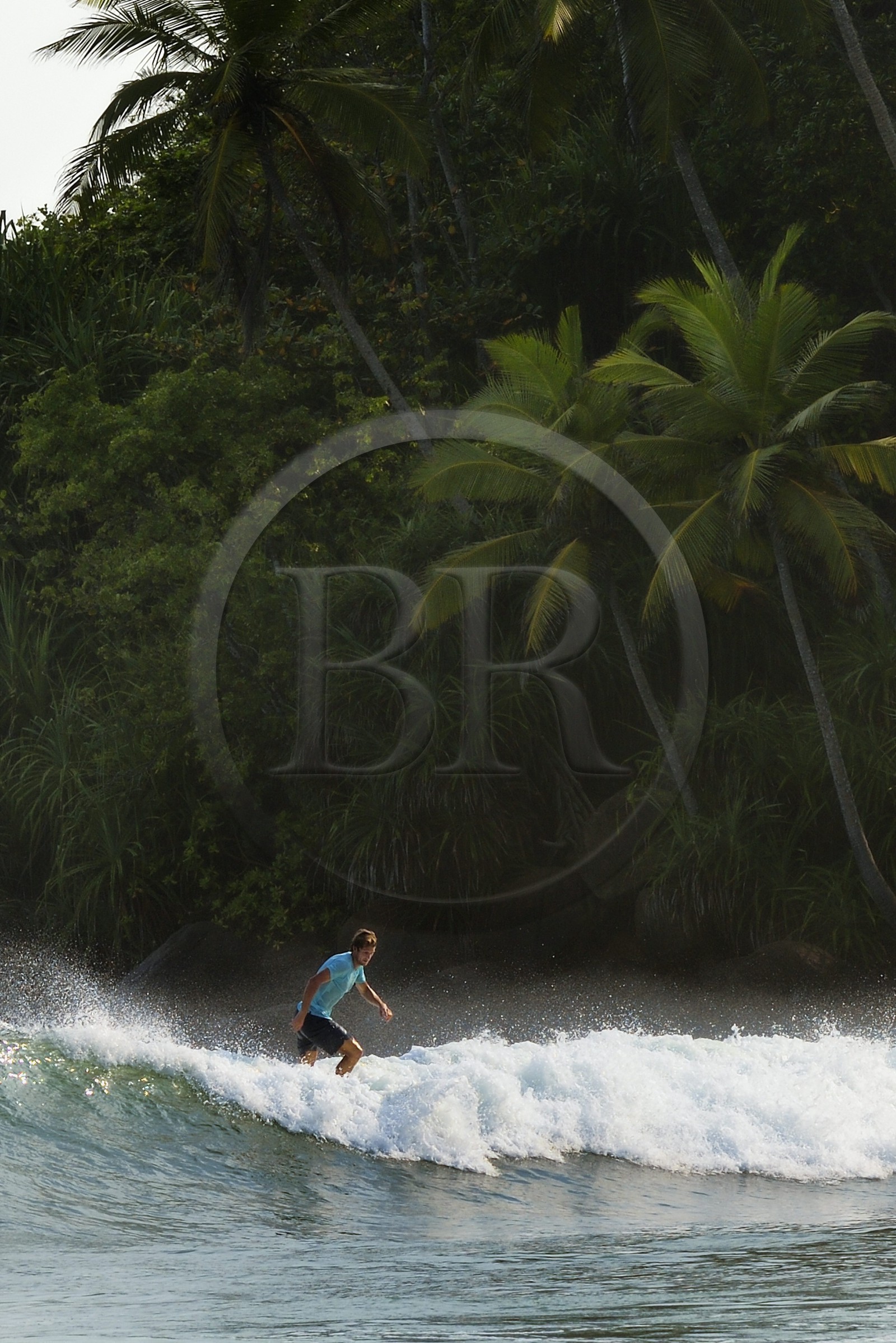 Sri Lanka, Province du Sud, Matara (district), Weligama, plage de Mirissa, surfeur